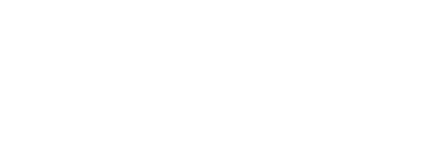 Belmont logo Servicios logísticos